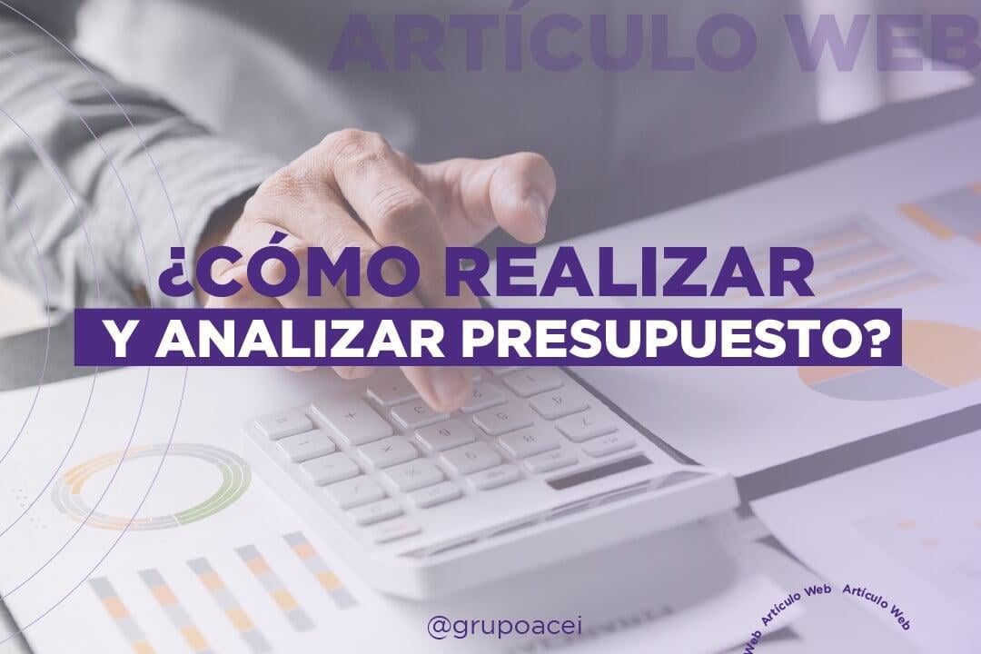 Cómo Realizar y Analizar Presupuestos